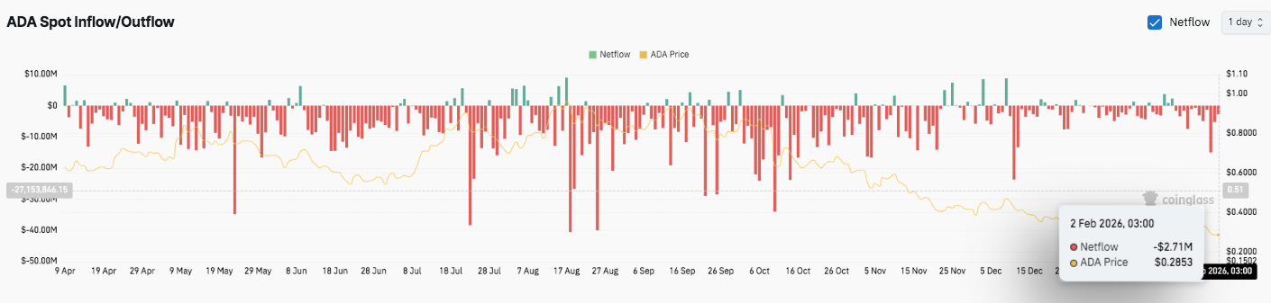 甜蜜瞬间,陈赫陪伴张,子萱携子女,ebpay,ebpay钱包,ebpay钱包官网下载