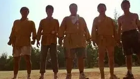 高温PTFE滤袋除尘器应用于冶金厂粉尘污染控制