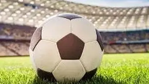 2025赛季准入名单公布：沧州雄狮和广州队遗憾出局